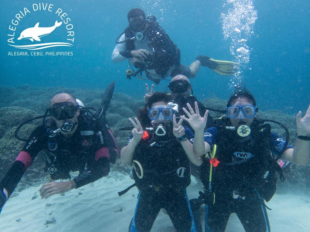 Alegria Dive Resort 외부 사진