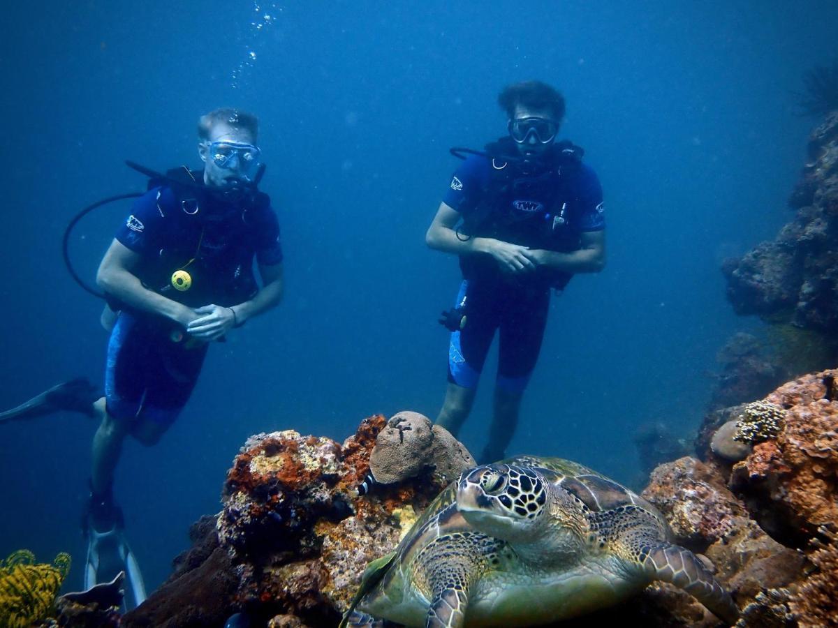 Alegria Dive Resort 외부 사진